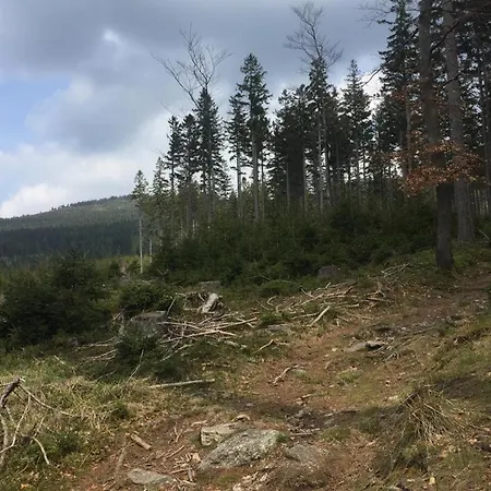 アパート 21 Czarna Gora *