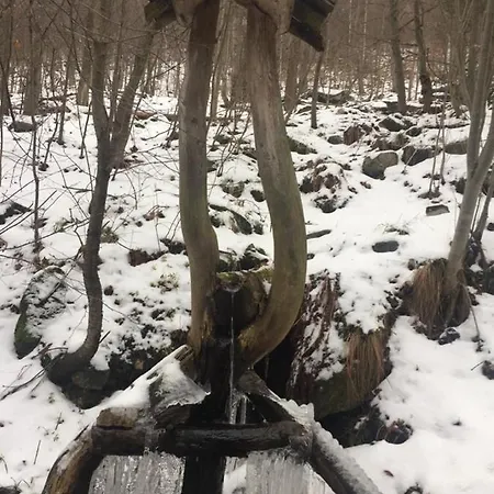 アパート 21 Czarna Gora