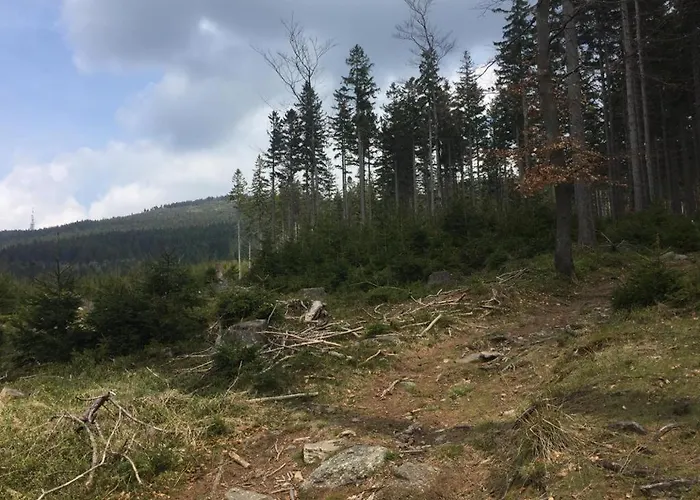 Apartment 21 Czarna Gora *