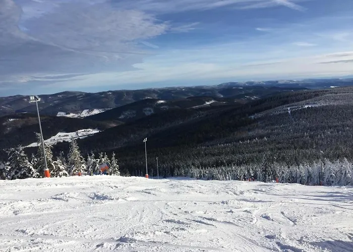 21 Czarna Gora Apartment